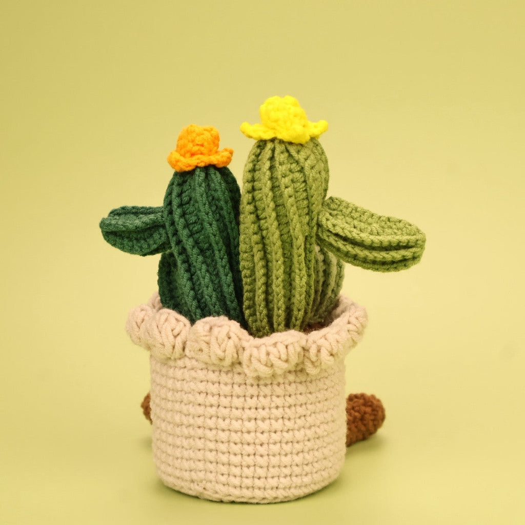 Crochet Cactus Plant, Cute Desk Decoration, close-up detail