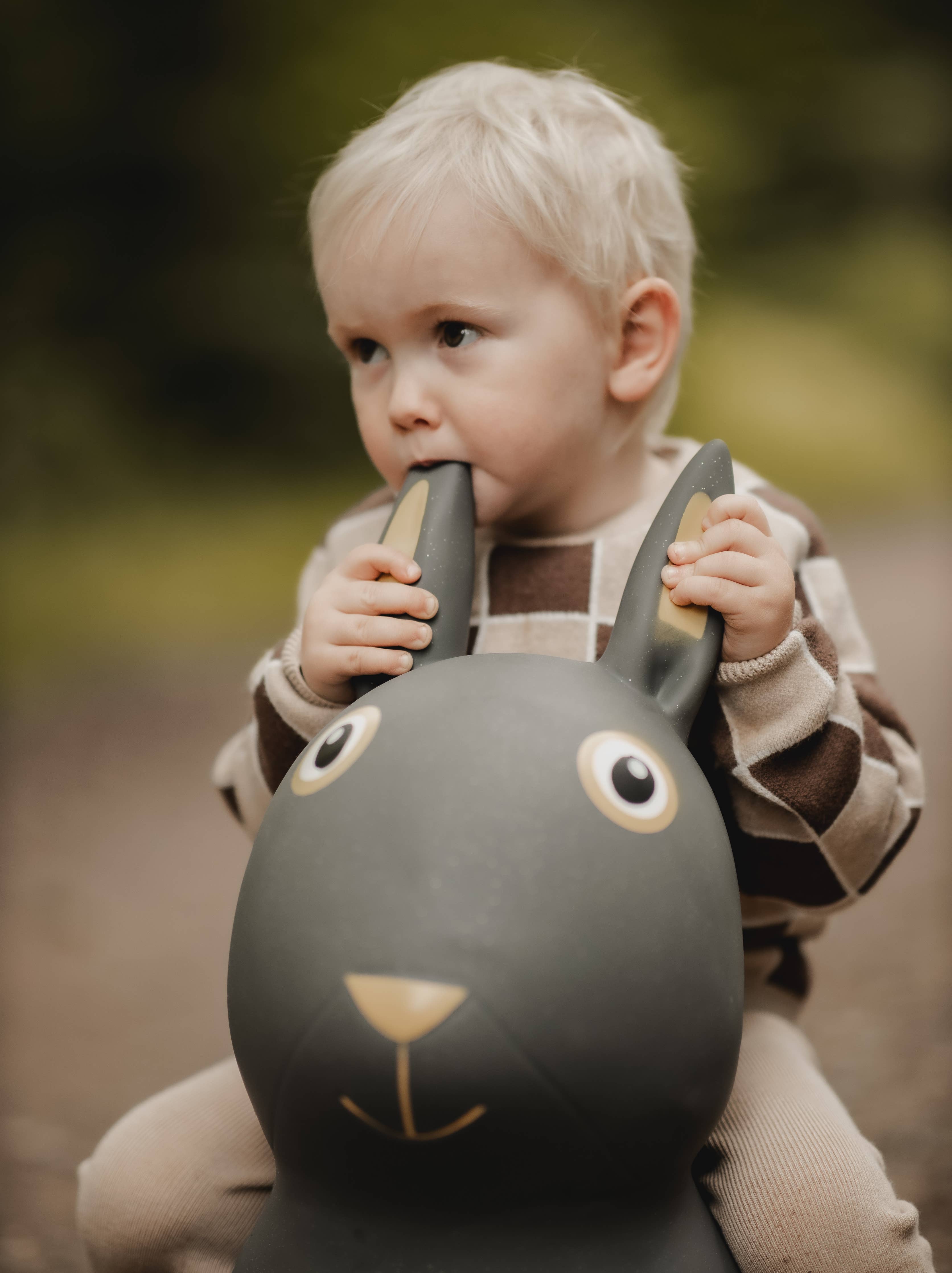 Bouncing Rabbit Hopper Toy - Active Play - 50kg Capacity