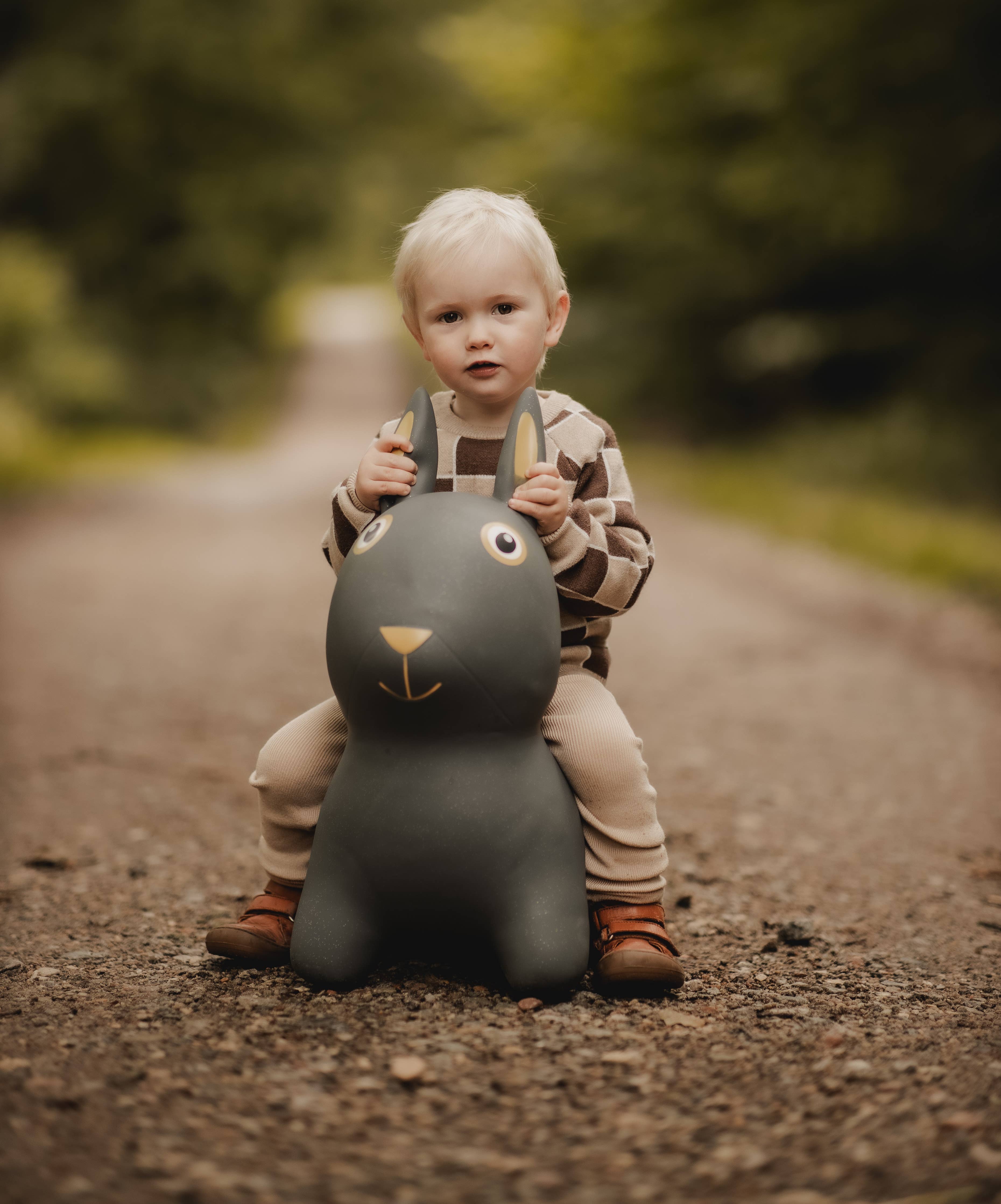 Bouncing Rabbit Hopper Toy - Active Play - 50kg Capacity