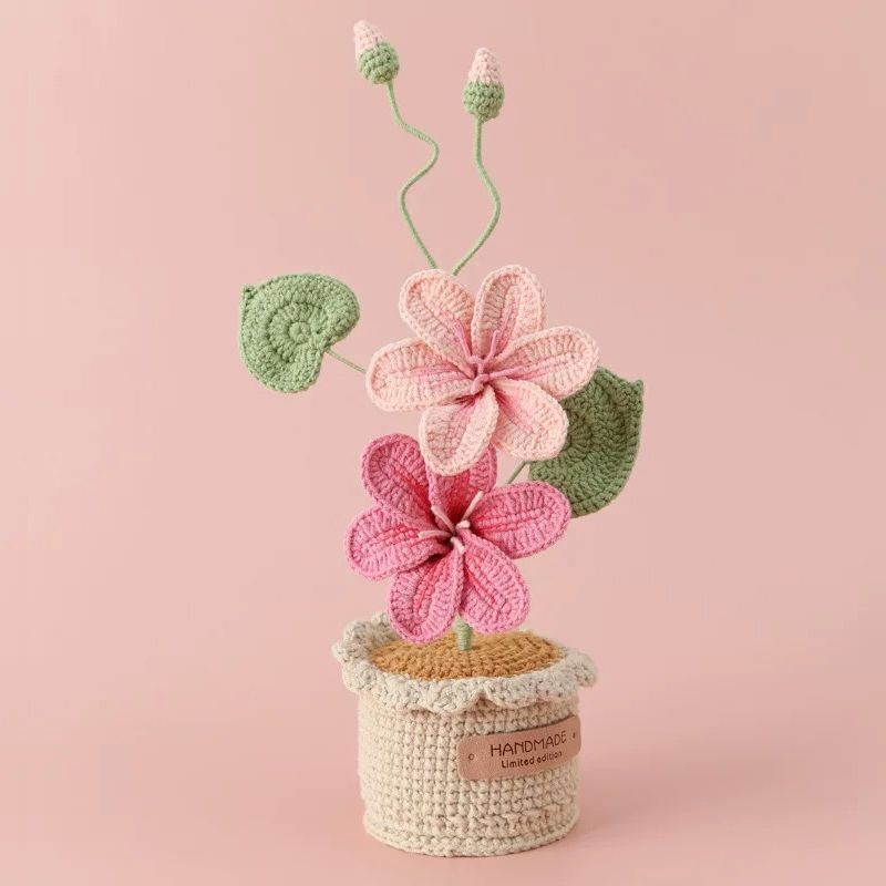 Potted Poinsettia Flower, top view