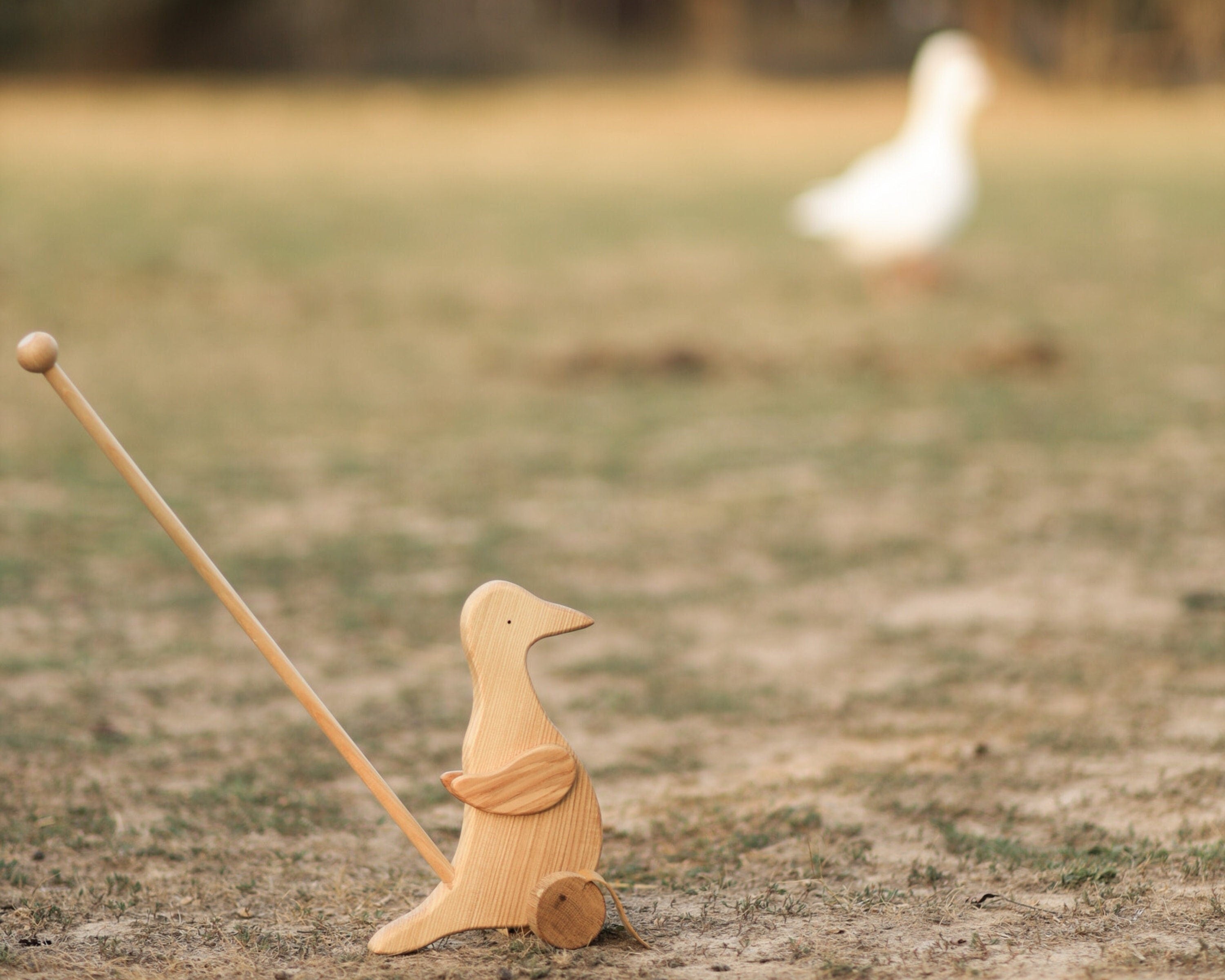 Wooden Duck Push Toy - Toddler Walking Aid
