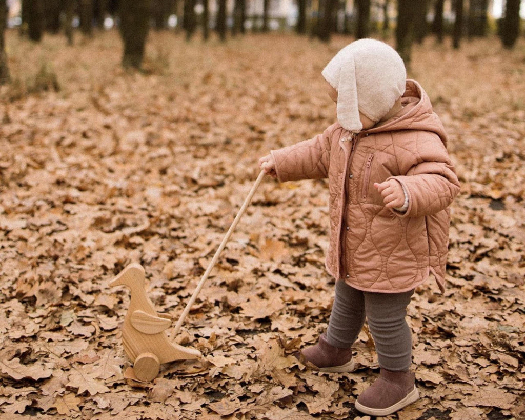 Wooden Duck Push Toy - Toddler Walking Aid