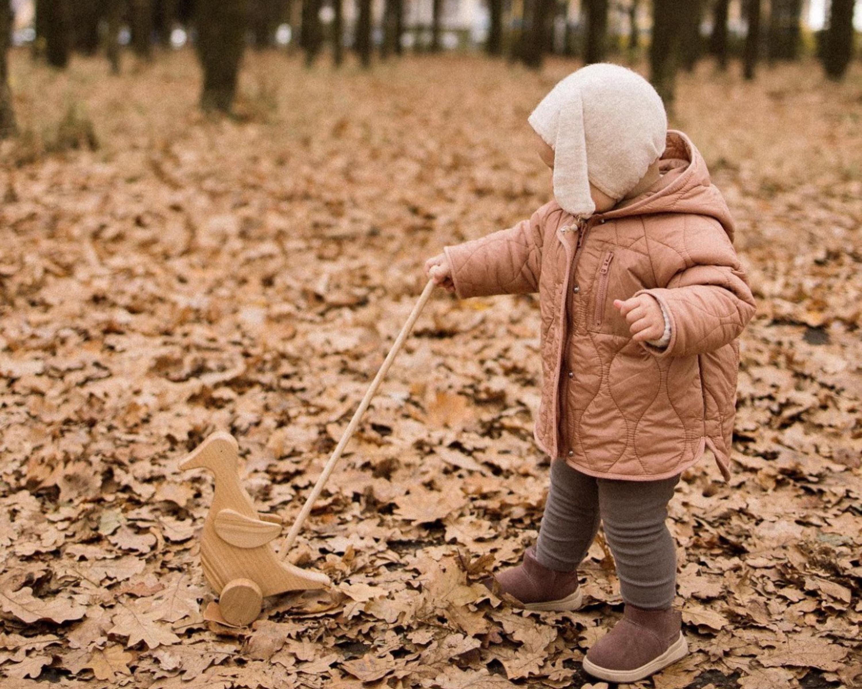 Wooden Duck Push Toy - Toddler Walking Aid